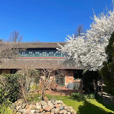Runenhaus Ostseebad Wustrow Holiday home Wustrow (Fischland)